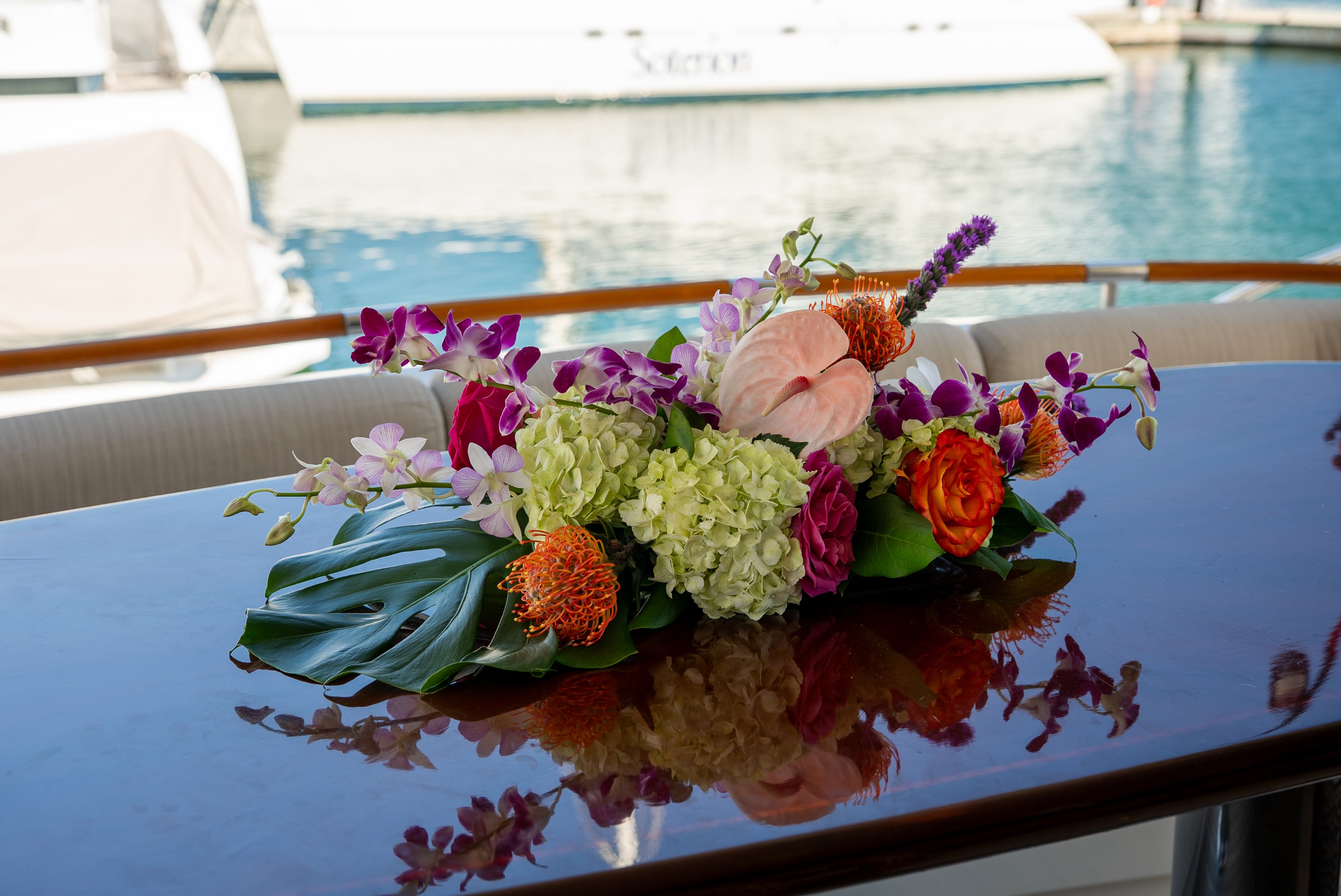 The Tropical Arrival Collection