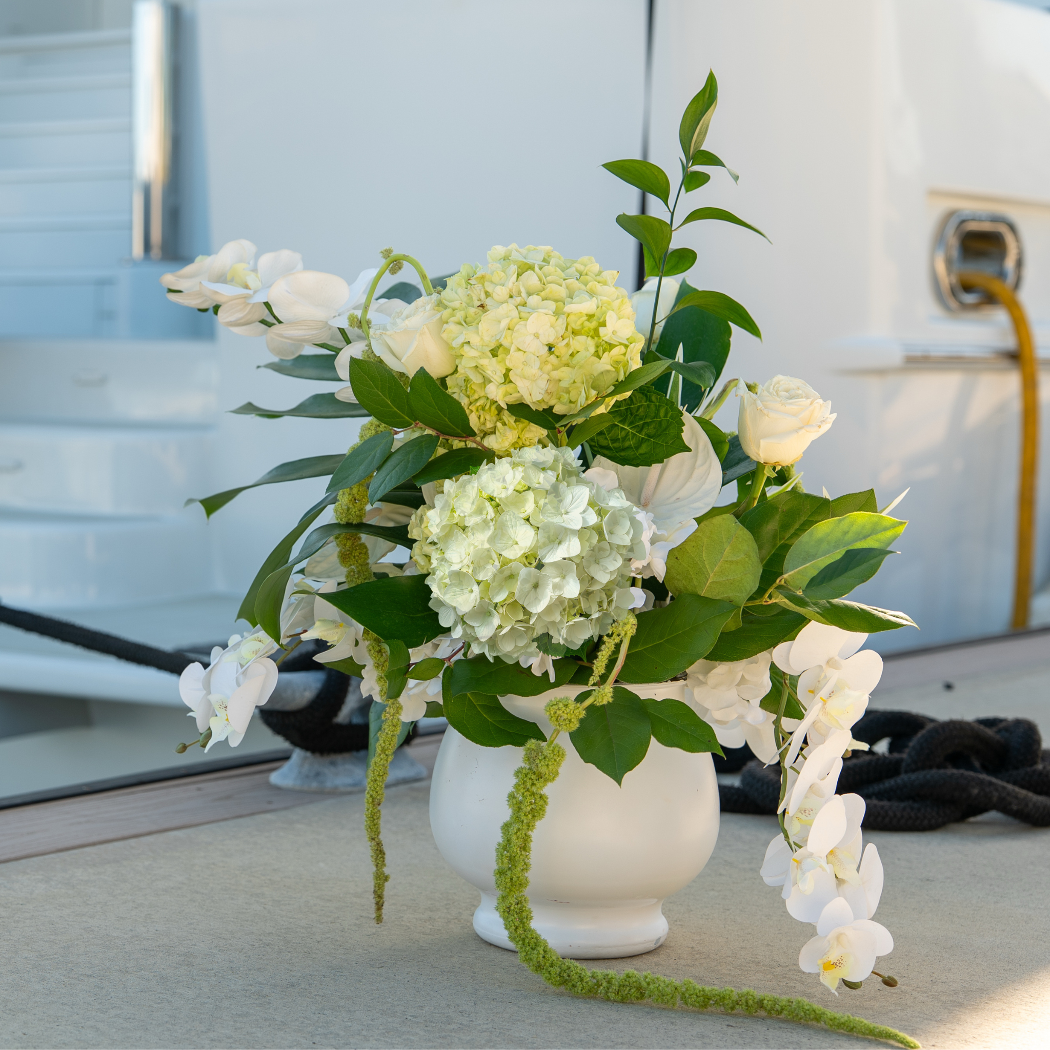 The Quiet Luxury Collection